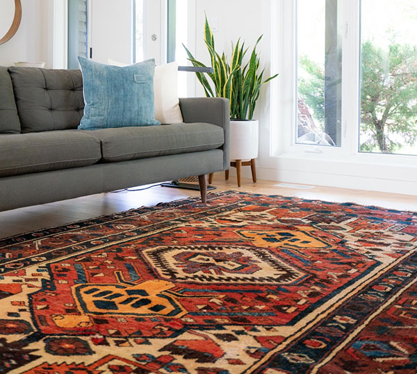 Area Rug Consultation